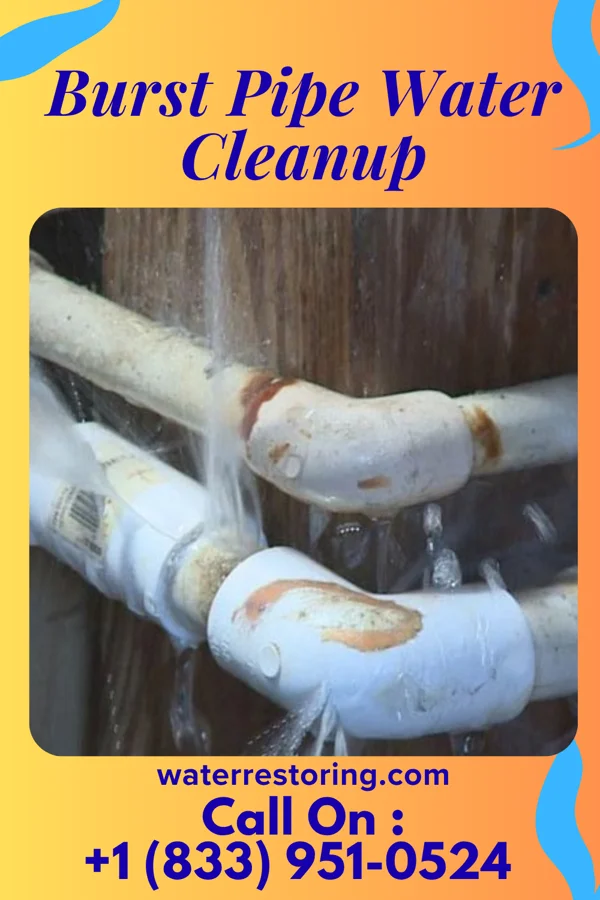 Burst Pipe Water Cleanup in Rancho Palos Verdes, CA